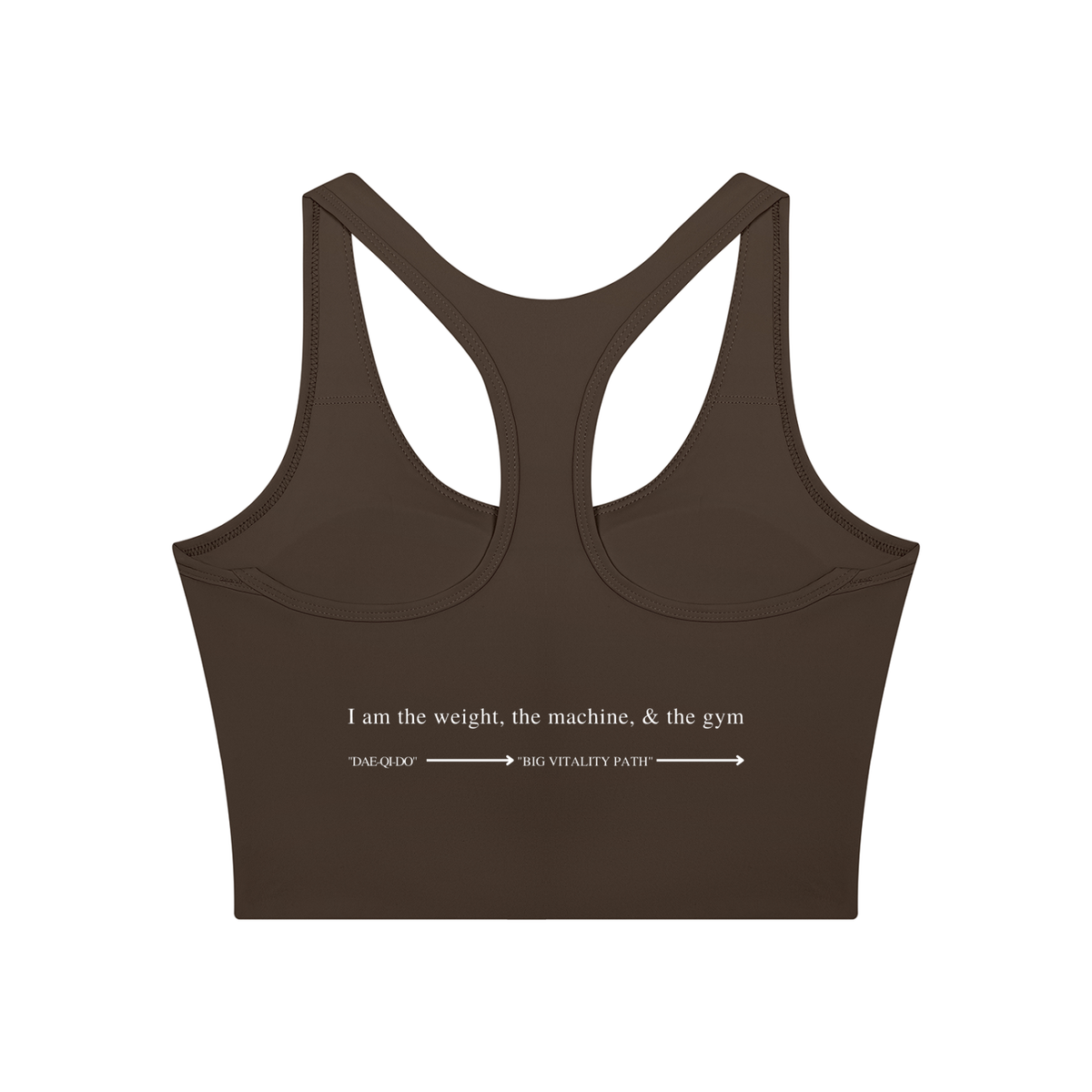 AW color block crop top in Coffee with Khaki, back, I am the weight, the machine, and the gym above the Dae-Qi-Do line