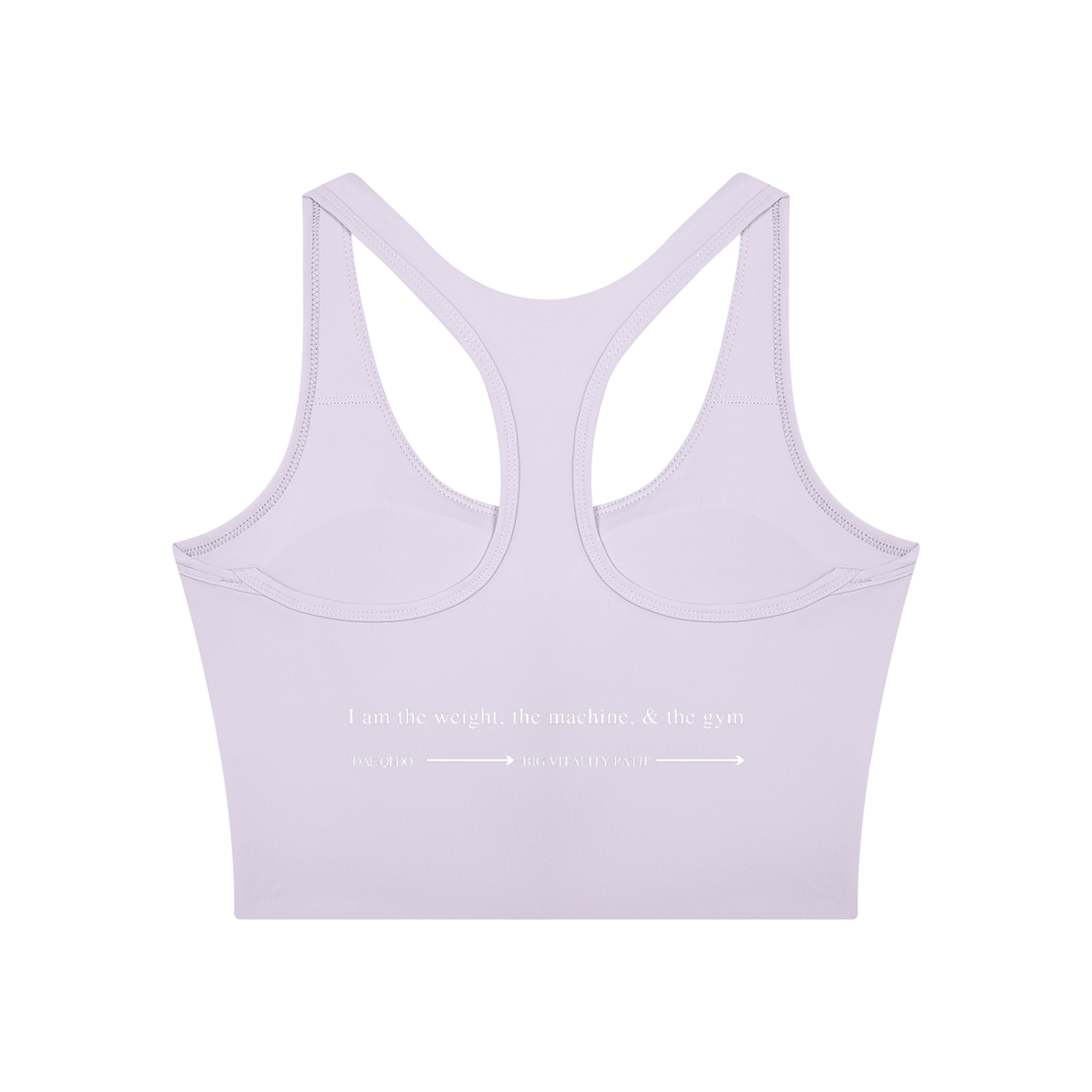 AW color block crop top in Light Purple with Deep Purple, back, I am the weight, the machine, and the gym above the Dae-Qi-Do line